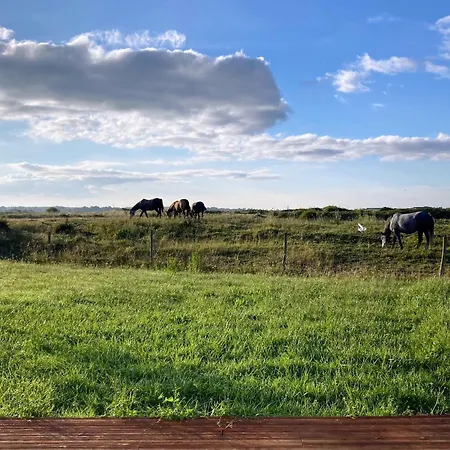 Maison Lumineuse Proche De La Avec Wifi Et Animaux Acceptes - Fr-1-306-1283 Holiday home *