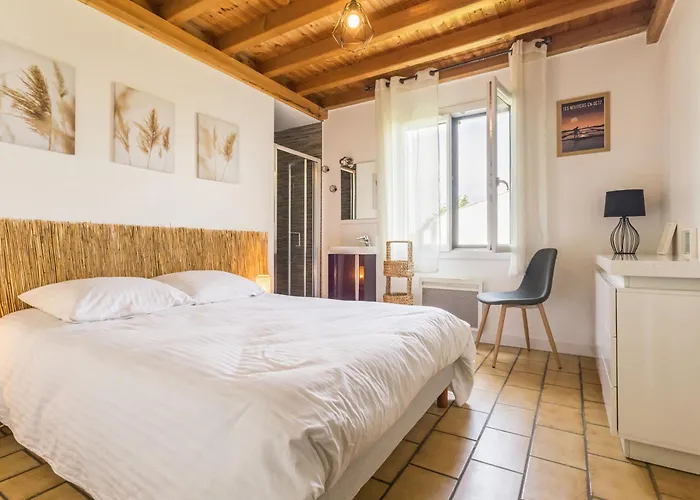 Maison Lumineuse Proche De La Avec Wifi Et Animaux Acceptes - Fr-1-306-1283