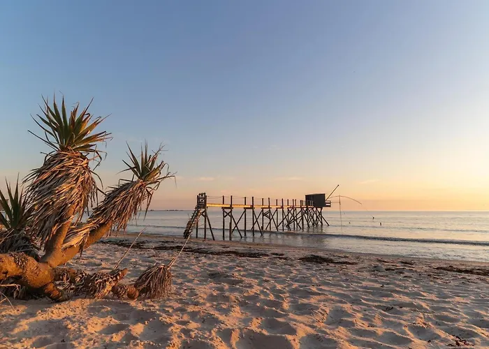 Maison Lumineuse Proche De La Avec Wifi Et Animaux Acceptes - Fr-1-306-1283 *