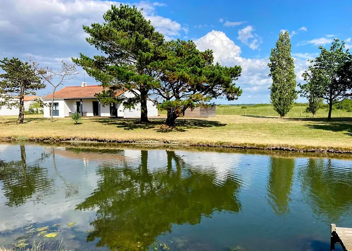 別荘 Maison Lumineuse Proche De La Avec Wifi Et Animaux Acceptes - Fr-1-306-1283