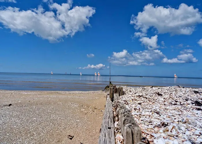 Maison Lumineuse Proche De La Avec Wifi Et Animaux Acceptes - Fr-1-306-1283 *