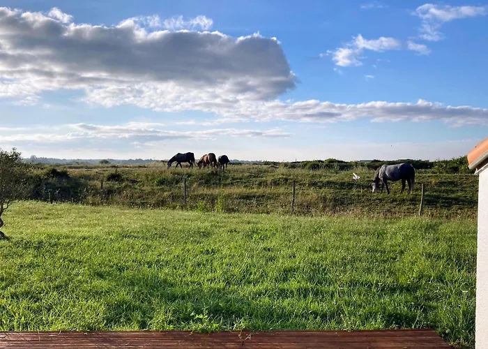 Maison Lumineuse Proche De La Avec Wifi Et Animaux Acceptes - Fr-1-306-1283 別荘 *